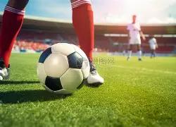 狗年,期排列三独,门秘籍,山东体彩,山东体彩网,山东体彩网官网,体育彩票,体彩大乐透,竞彩足球,体彩公益