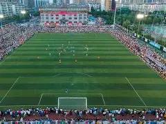 奇招揭秘,期双色球精,准预测,山东体彩,山东体彩网,山东体彩网官网,体育彩票,体彩大乐透,竞彩足球,体彩公益