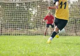 揭秘,马年双色球,必中秘籍,山东体彩,山东体彩网,山东体彩网官网,体育彩票,体彩大乐透,竞彩足球,体彩公益