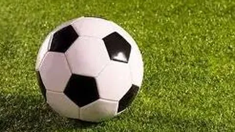 🚫 禁入警告：神秘权限之门开启受阻！