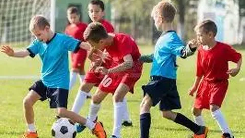 《狗年26023期排列三独门秘籍：六码组选策略大放异彩，创意涌动！》