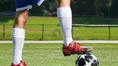 【独家揭秘】第2026012期双色球红蓝球预测：12红2蓝，中奖稳如泰山！