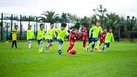 【奇招揭秘】2026016期双色球精准预测：锁定龙头凤尾09与14，不容错过！