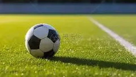 【揭秘】福彩双色球第2026016期独家预测，五大必中号码揭晓，近期战绩亮眼！