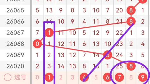 双色球26054期开奖号码分析：专家红球推荐及质合解析