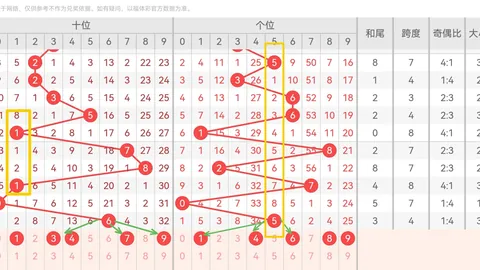 山东体彩网