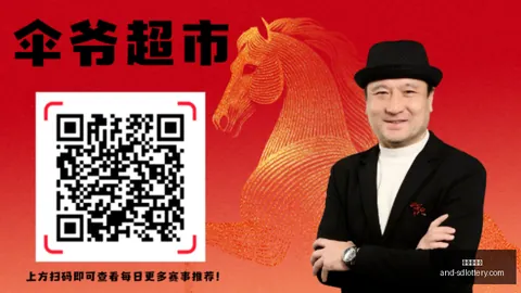 厄瓜多尔对决德国山东体育彩票：50球挑战，能否书写新奇迹的终极指南